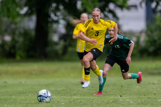Novalie Hedenlid, IF Elfsborg