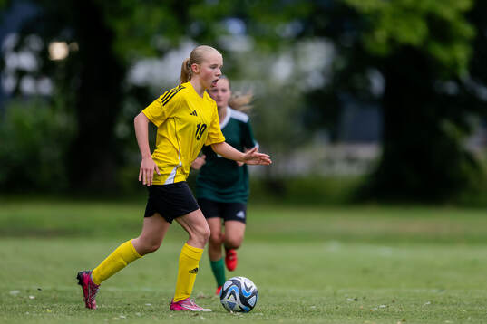 Elin Nilsson, Hammarby IF FF