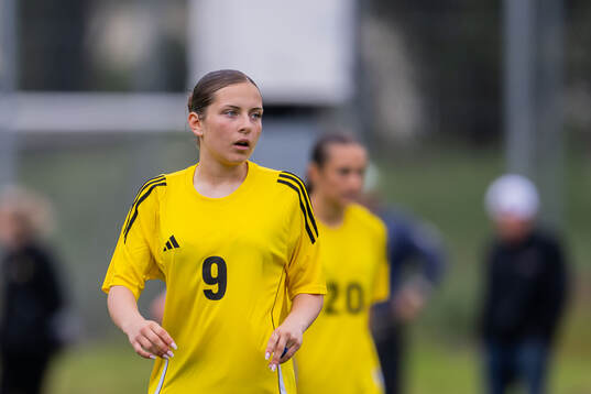 Nellie Nickling Zuta, FC Rosengård