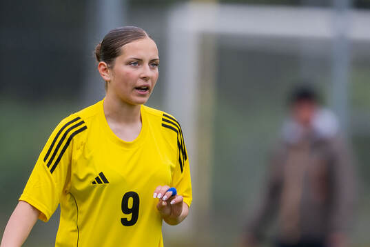 Nellie Nickling Zuta, FC Rosengård