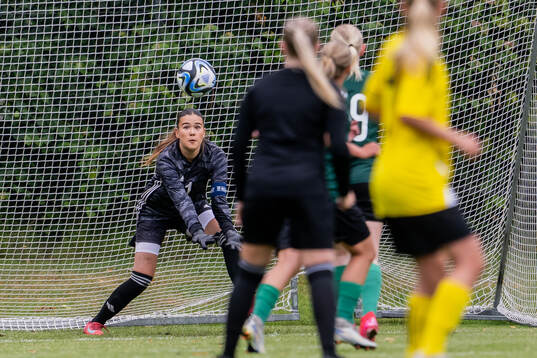 Målvakt Ellie Röhr, Hammarby IF FF