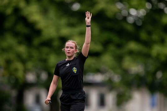 s riksläger för F10