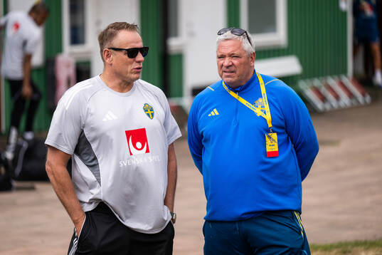 Head of security Stefan Dejemyr of the Swedish women's