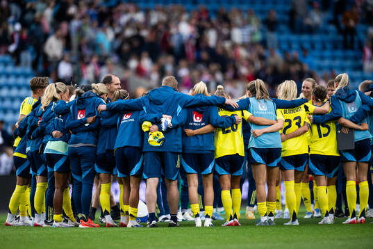 Players of Sweden