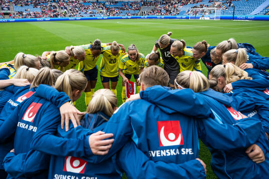 Players of Sweden