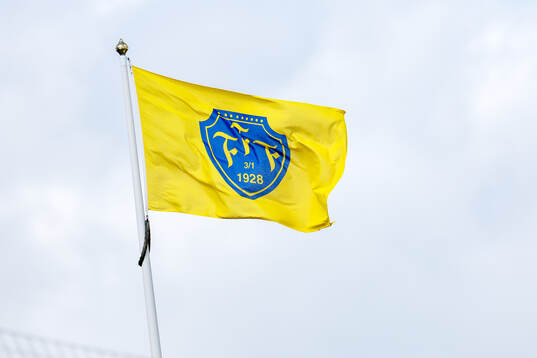 Falkenbergs flagga