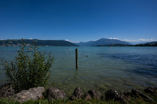General view of the Zugersee