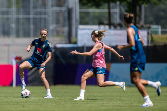 Amanda Ilestedt of the Swedish women's national football