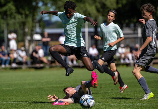 s riksläger för P10