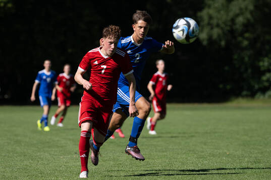 Oscar Nilsson och Ivan Dzakula