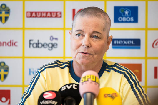 Head of delegation Marika Domanski Lyfors of the Swedish
