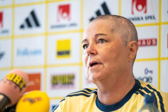 Head of delegation Marika Domanski Lyfors of the Swedish
