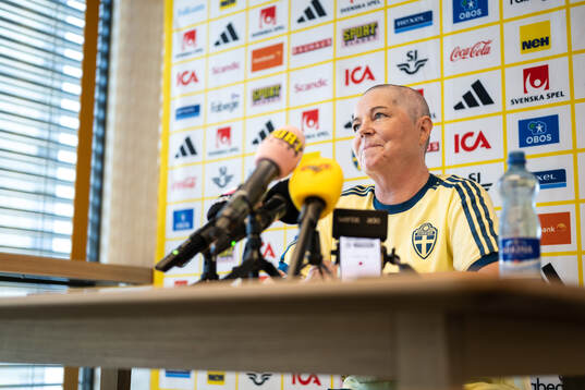 Head of delegation Marika Domanski Lyfors of the Swedish