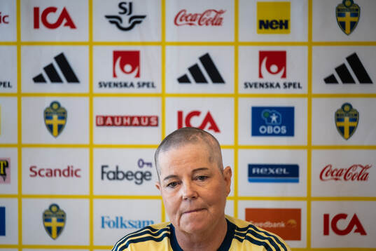 Head of delegation Marika Domanski Lyfors of the Swedish