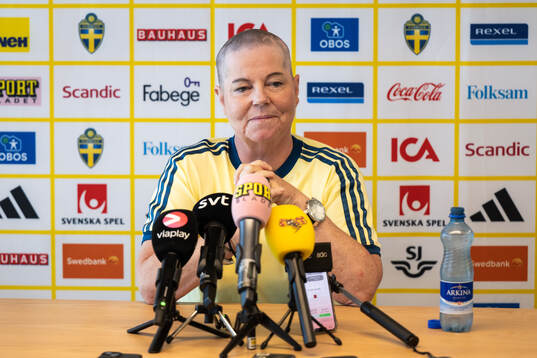 Head of delegation Marika Domanski Lyfors of the Swedish