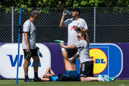 Performance manager Pontus Ekblom, Medical doctor Houman
