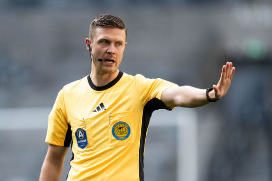 Domare Erik Mattsson