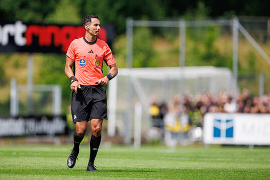 Domare Adi Aganovic