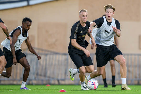 Daniel Gudjohnsen and Nils Zätterström