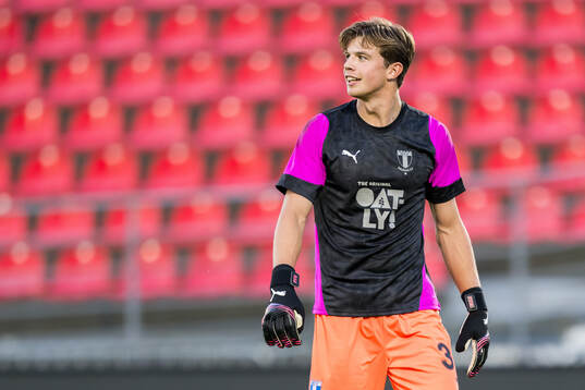 Melker Ellborg of Malmö FF