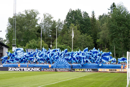 Djurgårdens supportrar