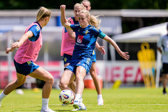 Amanda Ilestedt of the Swedish women's national football