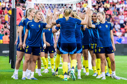Players of Sweden