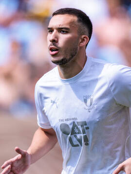 Malmö FFs Andrej Djuric