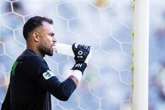 Goalkeeper Warner Hahn of Hammarby