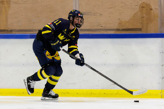 Josefin Bouveng