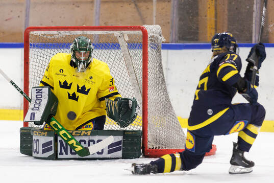 Ida Boman and Linnea Johansson