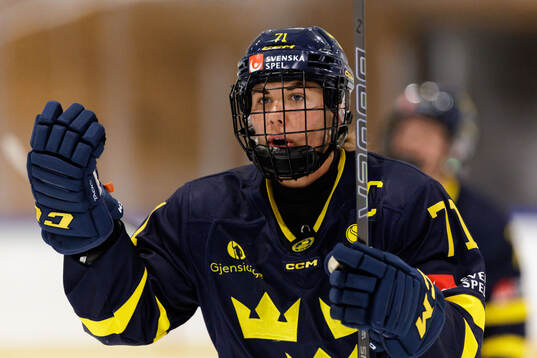 Anna Kjellbin
