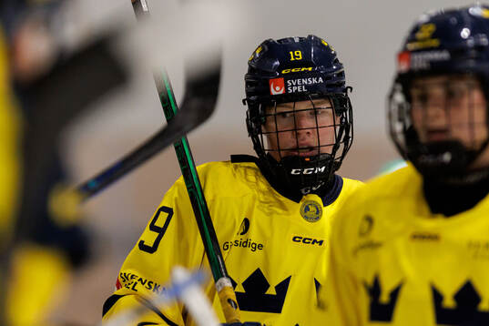 Sara Hjalmarsson