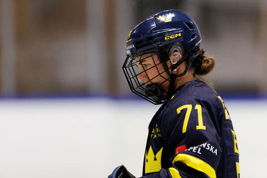 Anna Kjellbin