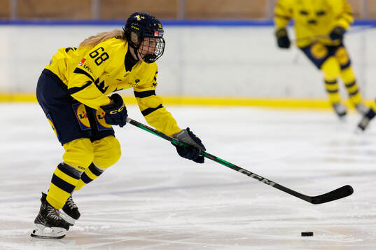 Isabelle Leijonhielm