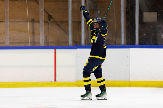 Thea Johansson celebrates