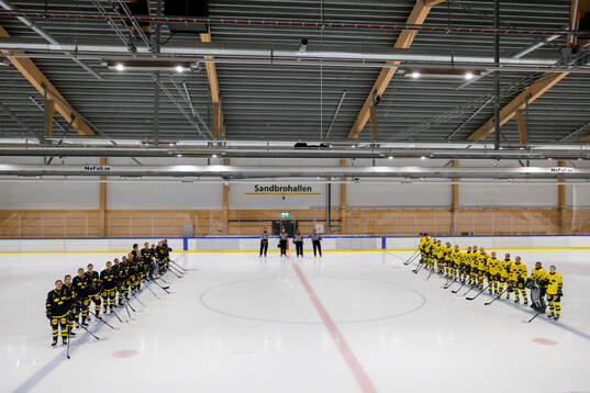 Players of Sweden