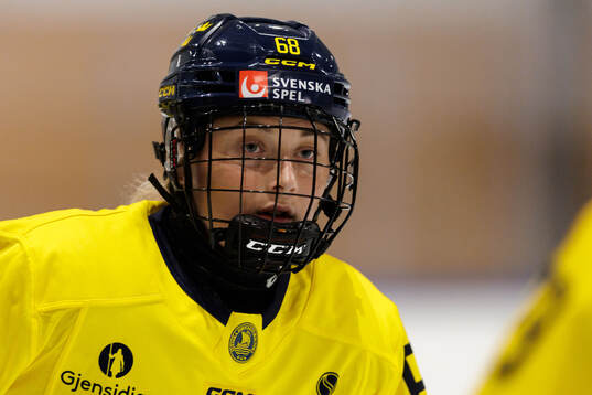Isabelle Leijonhielm