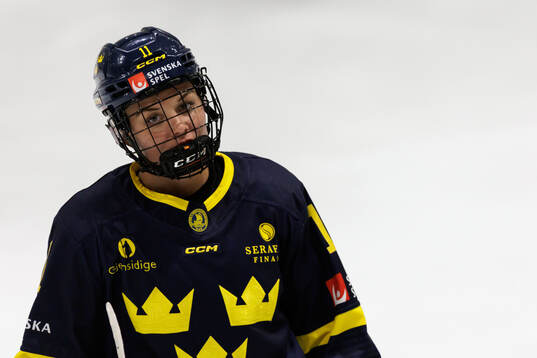 Josefin Bouveng