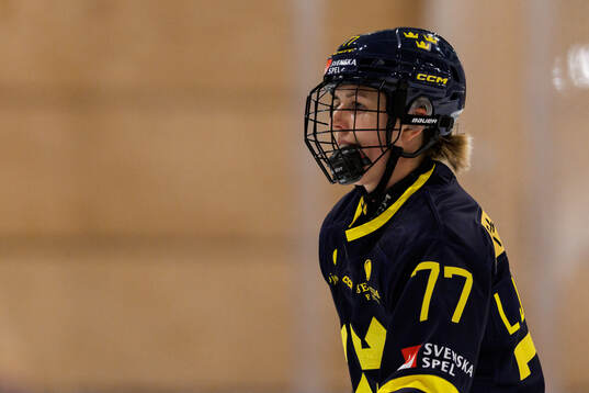Linnea Johansson
