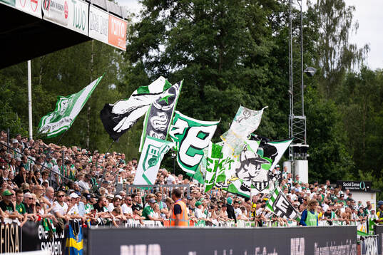 Hammarby supportrar på läktaren