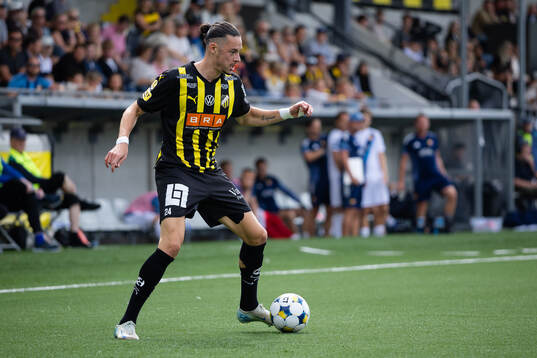 Häckens Amor Layouni