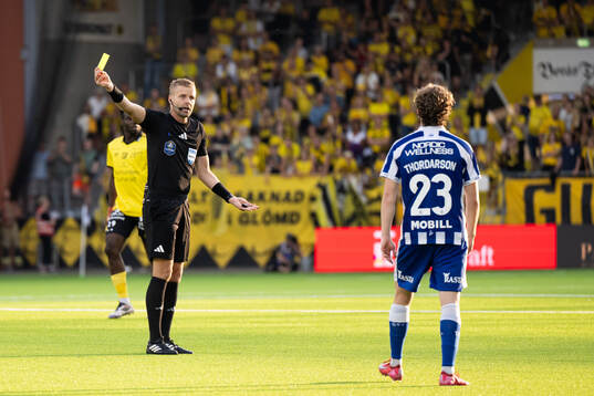 Domare Glenn Nyberg