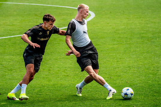 Colin Rösler and Daniel Gudjohnsen
