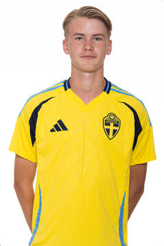 Vilhelm Karlsson