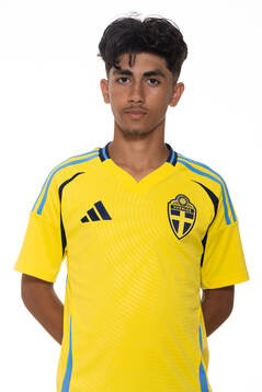 Mahmoud Moradi