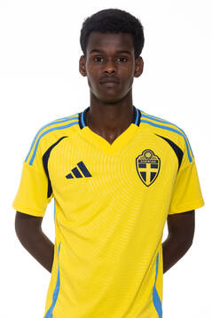 Alinur Elmi Roble