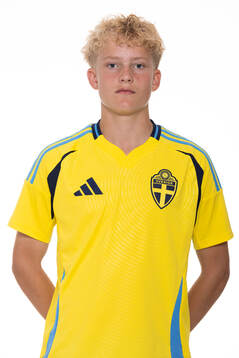 Arvid Hansson
