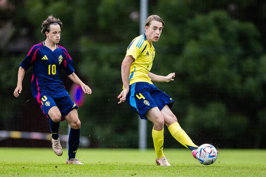 Wilton Granberg och Frans Silbersky