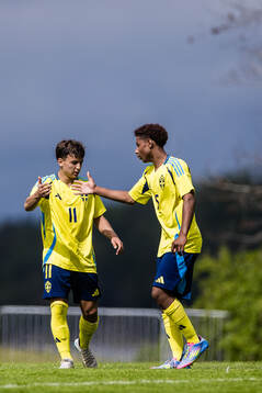 Drilon Qitaku och Salomon Basilewsky